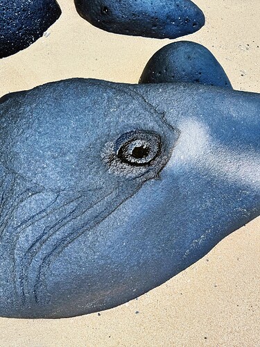 Photo Jul 27 2025, 05 24 55 (25) (1)