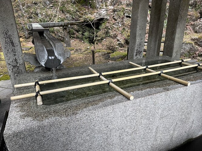 4E703031-9BD4-4A78-8198-2618D7480AEC_1_105_c