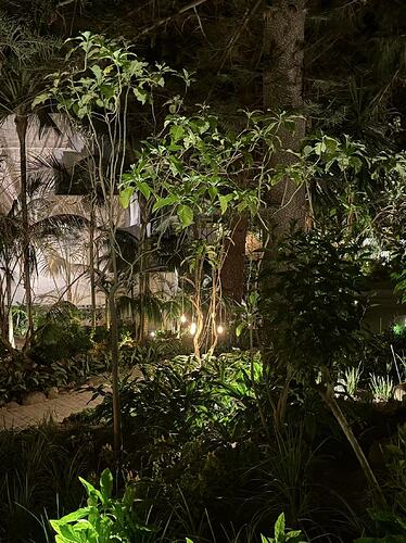 Image_20250814091605