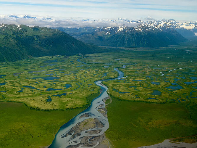Big Glacier Slough 的湿地与水道