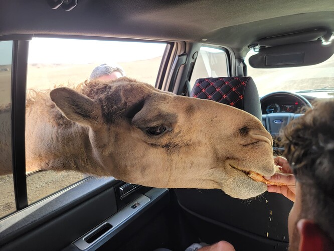 Riyadh 4