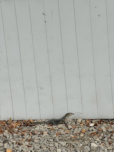 3A1F6693-780C-4BEB-98C4-D6382B0D05ED_1_105_c