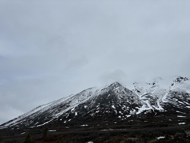 7A4D53E6-361C-40B6-88A6-B0A67306D30D