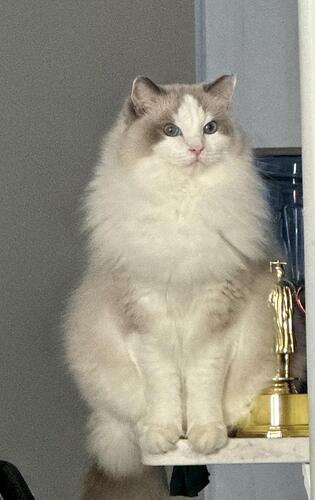 bfb9628d7b4044a85e7f04cd225eea19