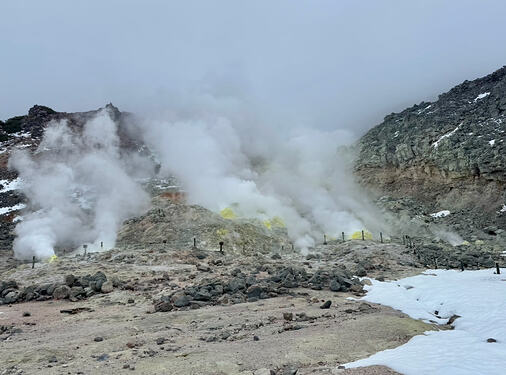 View recent photos 15