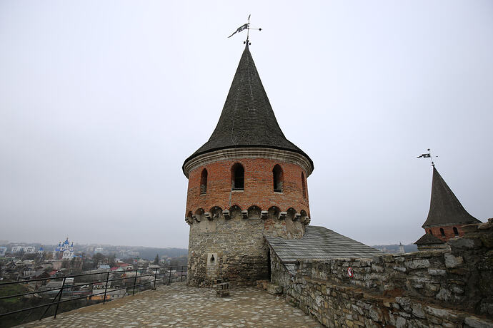 IMG8541