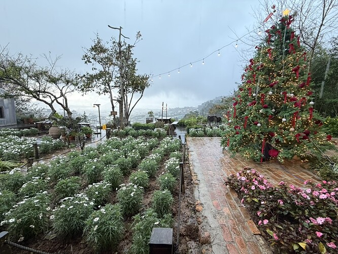 9F89D70F-34B0-4D22-A16F-212DD6E6AD2A_1_105_c