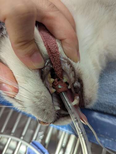 66e71251c6e496d6552c7a823877284b