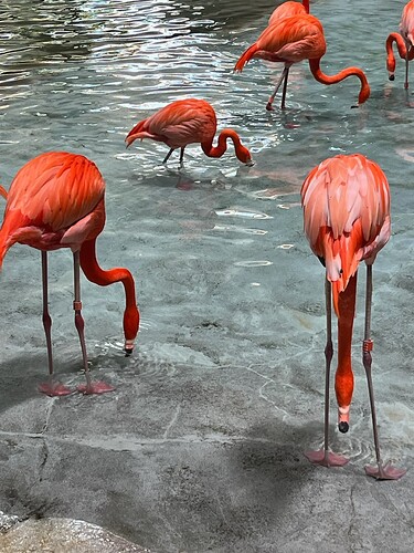 F5DB06E3-BFF6-4334-9F8B-A79091224505