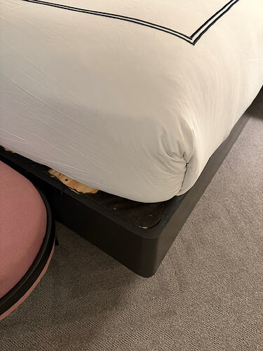 DFF3CB0A-F74E-4ED3-9DB6-0E6236B77C59_1_102_o