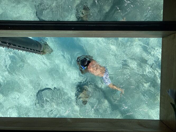 mmexport1722989353057