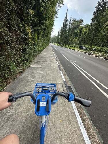 8C10CD0F-ED7B-474E-8F32-AE1BCC85EDA8_1_105_c