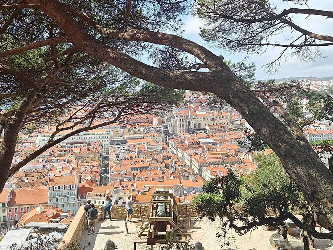 Sao Jorge Castle View