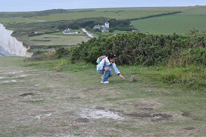 image16