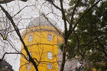DSC02947