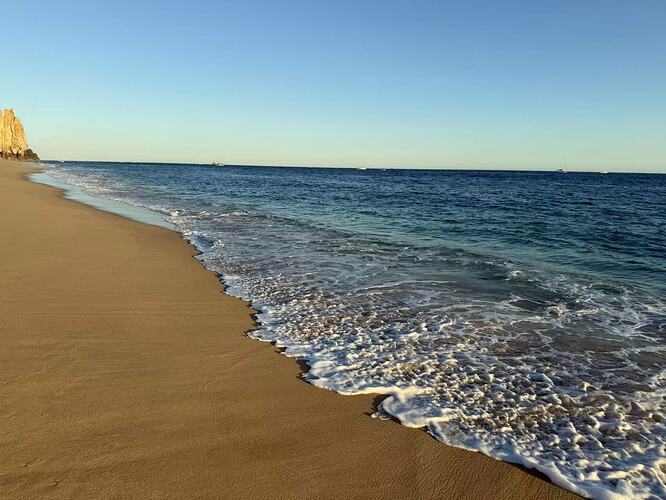 3ff2f49d99fb470b4e77fb004933767