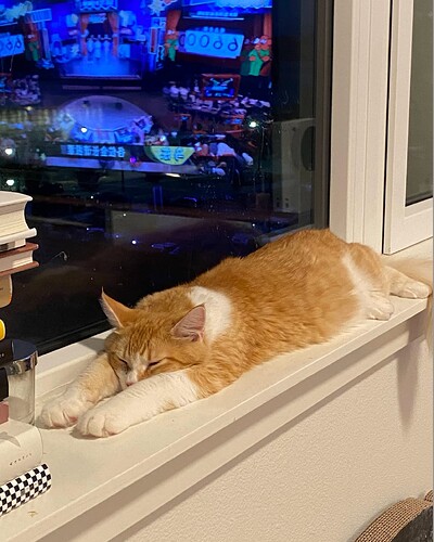 Screenshot 2025-06-19 at 10.22.15 PM