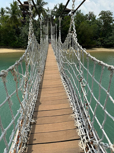 09F426EA-733B-439A-80E0-52C3E5ABDB60_1_102_o