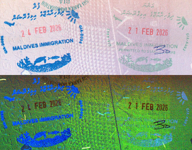 Collage_20260225_091436555