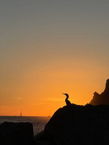 da41f035cf7afd297351c946531ff81