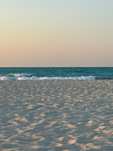 C3BF079E-CEF9-4055-A587-E3523C1E4A20