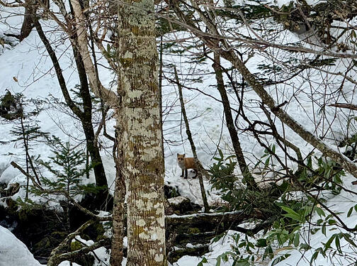 View recent photos 13