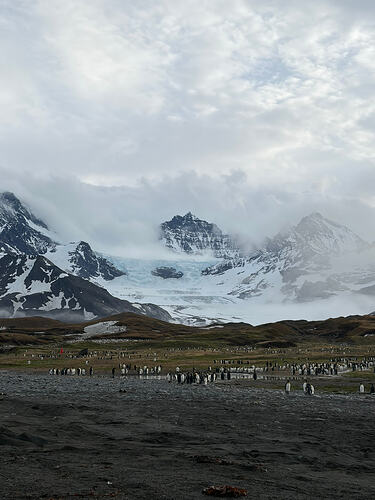 BF3ED3FC-2BB9-4E4B-8AC7-6FCAE5DED6C2_1_102_o