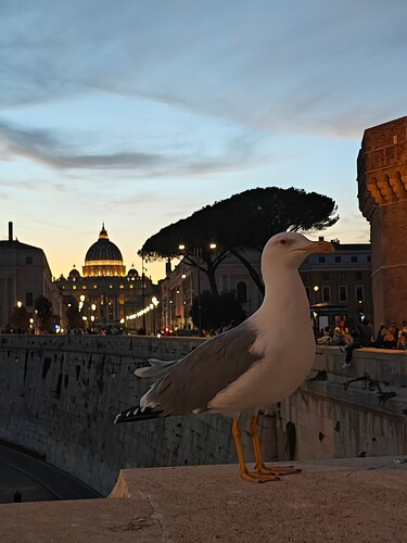St Peter from St Angelo
