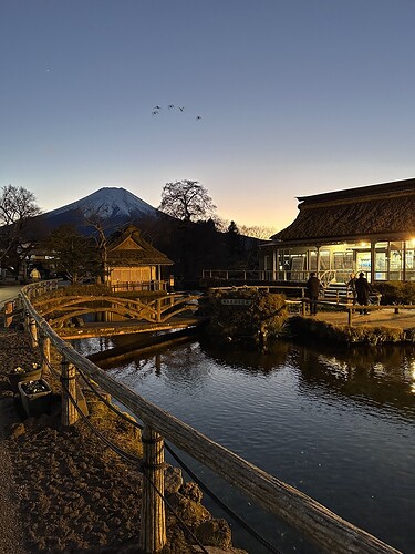 8685213E-3EDD-4174-B41F-423B02578E60_1_105_c