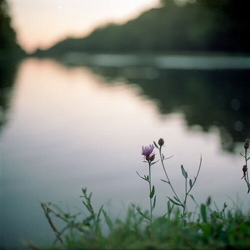 20200716_Portra400_1