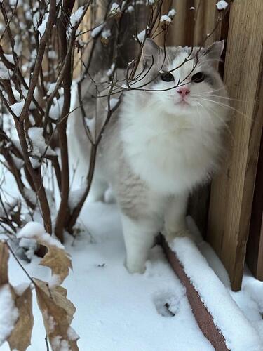 52d709db9e8f7b24e78758719aff3166