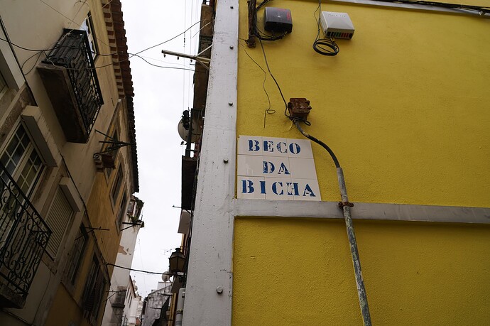 DSC01817