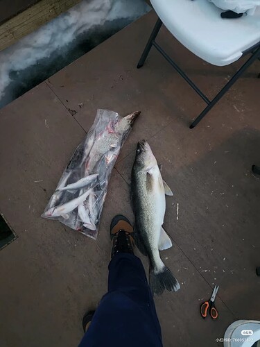 Camera_XHS_17272167217231000g00825dfejeafk0605nqqqb8g8e2cjrnig7g