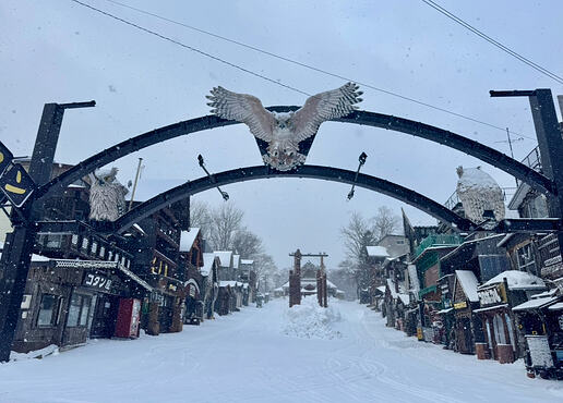 View recent photos 23