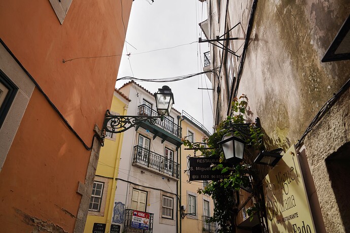 DSC01821