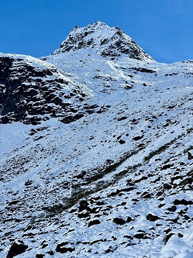 IMG_2351
