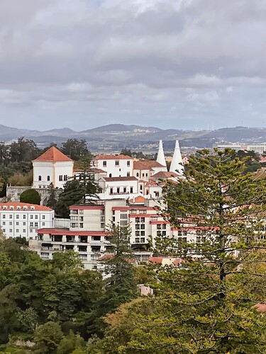 Sintra Palace Close-up