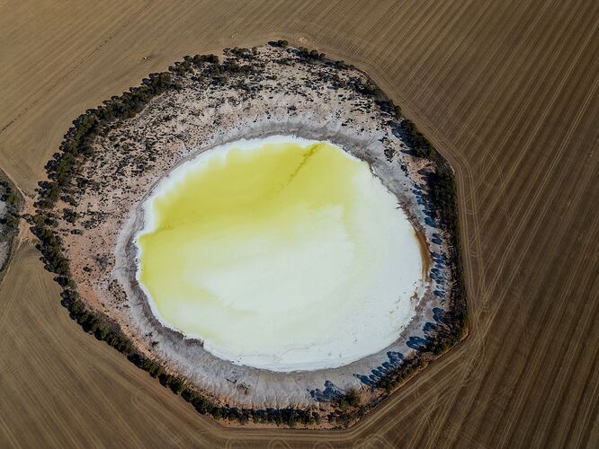 mmexport1746675664502