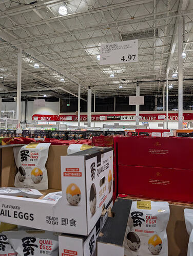 PXL_20260303_043453601.MP