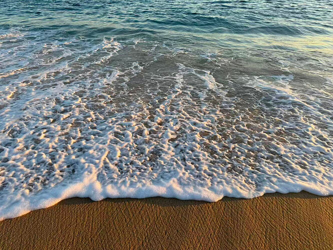 d904cb4cca42e04f79c66b6e16d35ff