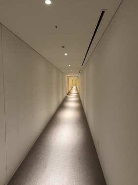 反正我是走不动了