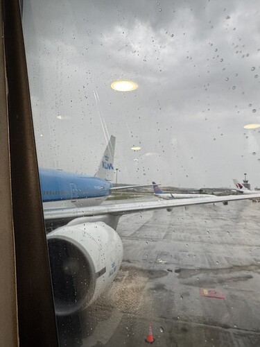 84F6D8BF-C54F-4CD5-B50D-BE6F6AFDC4E2_1_105_c