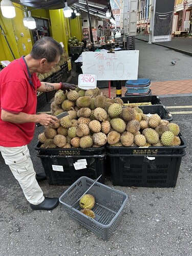 2C7069AA-34F0-4CE1-9B0F-06F55596F694_1_105_c