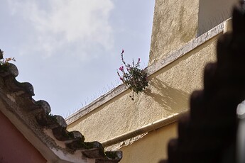 DSC03092