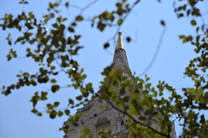 DSC_1732