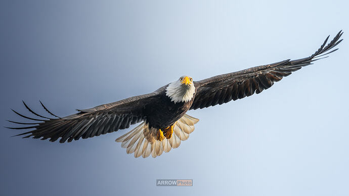 DSC07892-DxO_DeepPRIME XD2s-编辑