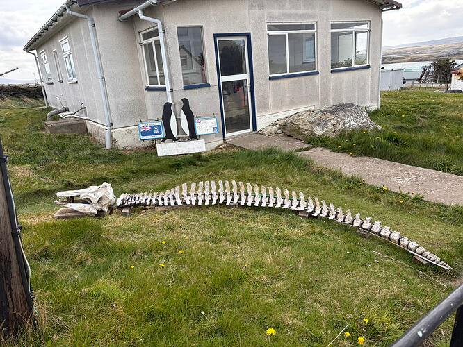 5AA31F26-47BF-43B9-A6B9-6EFC420BF42E_1_102_o