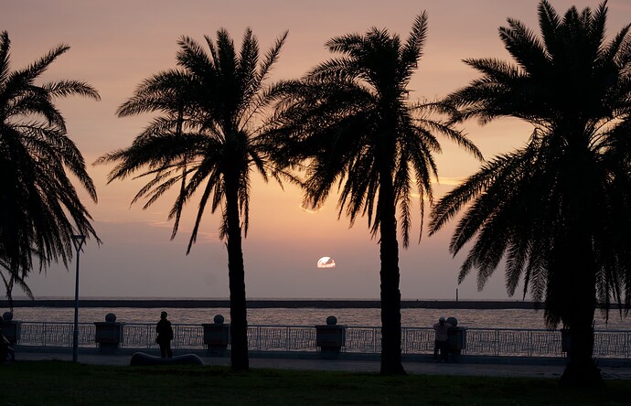 高雄西子湾的粉色日落