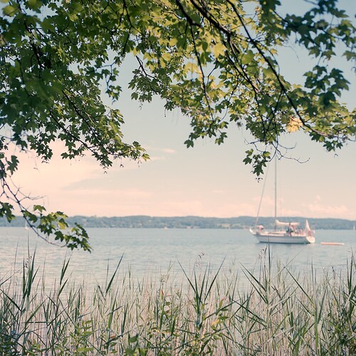 20200628_Portra400_2