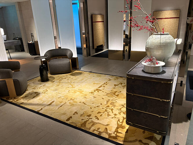 国内航司连抄都不会抄，这个check-in环境可以的